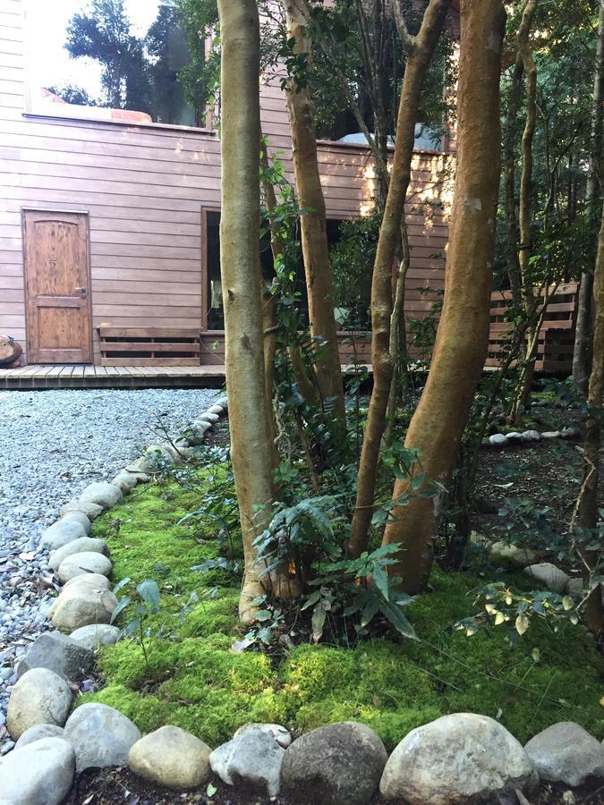 Dreamwoods Villa Puerto Varas Exteriör bild
